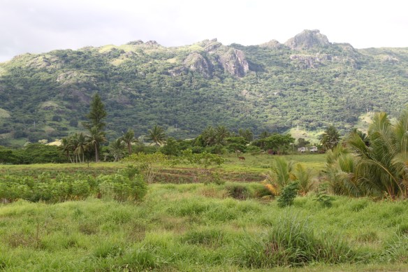 The view during the day - against the backdrop of the Sabeto mountain range
