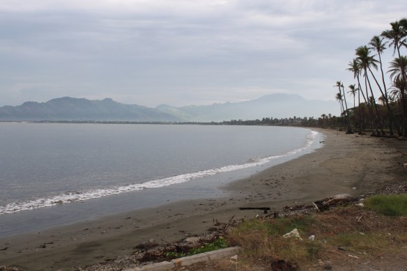 Our backyard in the morning