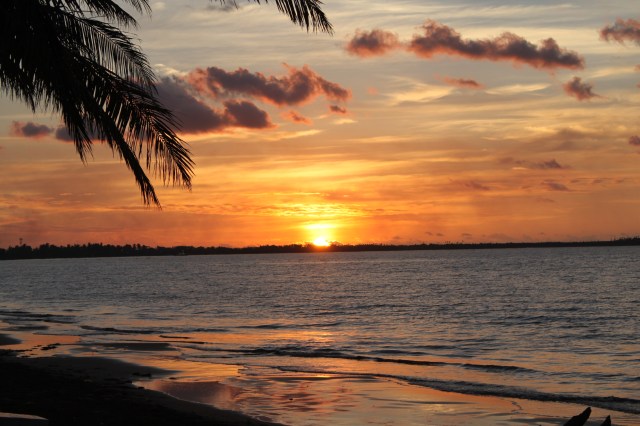 Our backyard in Nadi - after a hard days work 