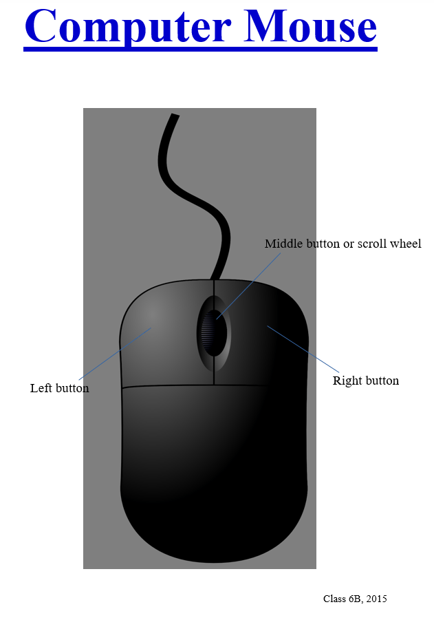 This example poster was created by class 6B