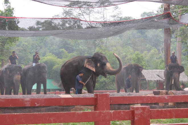 Getting ready for the show