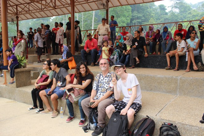 Part of the audience for the elephant show