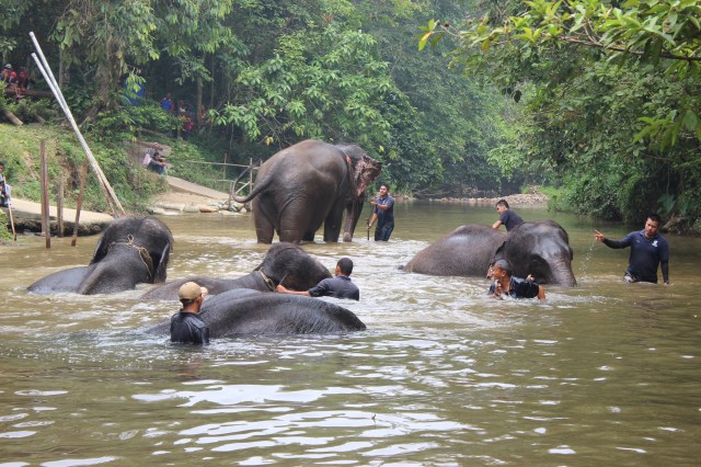 Getting ready for a bath