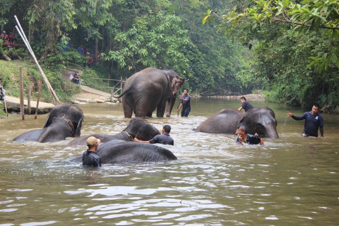 Getting ready for a bath