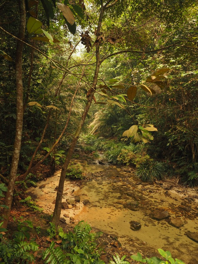 Sultan Idris Shah Forestry Education Centre (Photo: Richard Medland)